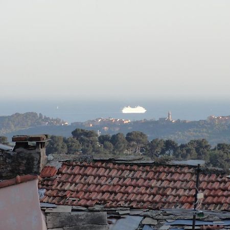 Il Merlo Della Rocca Villa Imperia Rum bild